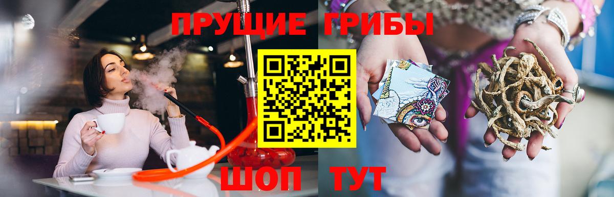 Галлюциногенные грибы Psilocybe  Вход с VPN  сколько стоит  Гусиноозёрск  Галлюциногенные грибы прущие грибы 